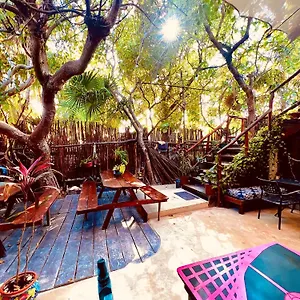 Auberge de jeunesse Holbox Hostal, Holbox