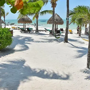 Amaite Holbox